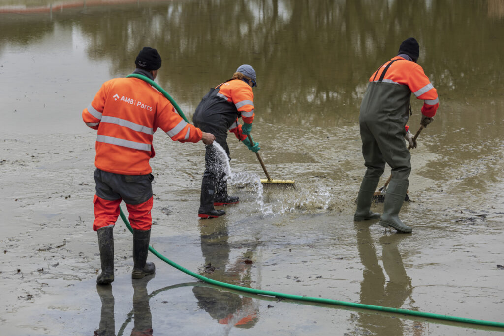 Esplugues renova el llac de Can Vidalet per millorar-ne la qualitat i protegir la fauna